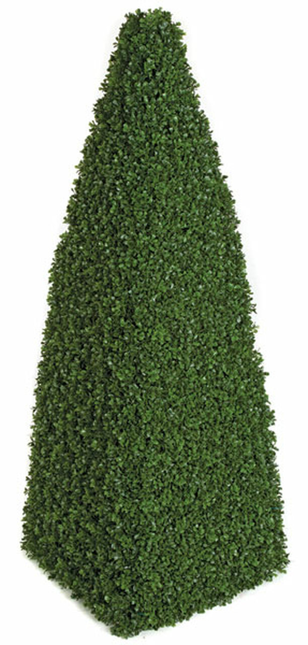 4 foot Boxwood Pyramid Topiary Hedge with 4308 Tips